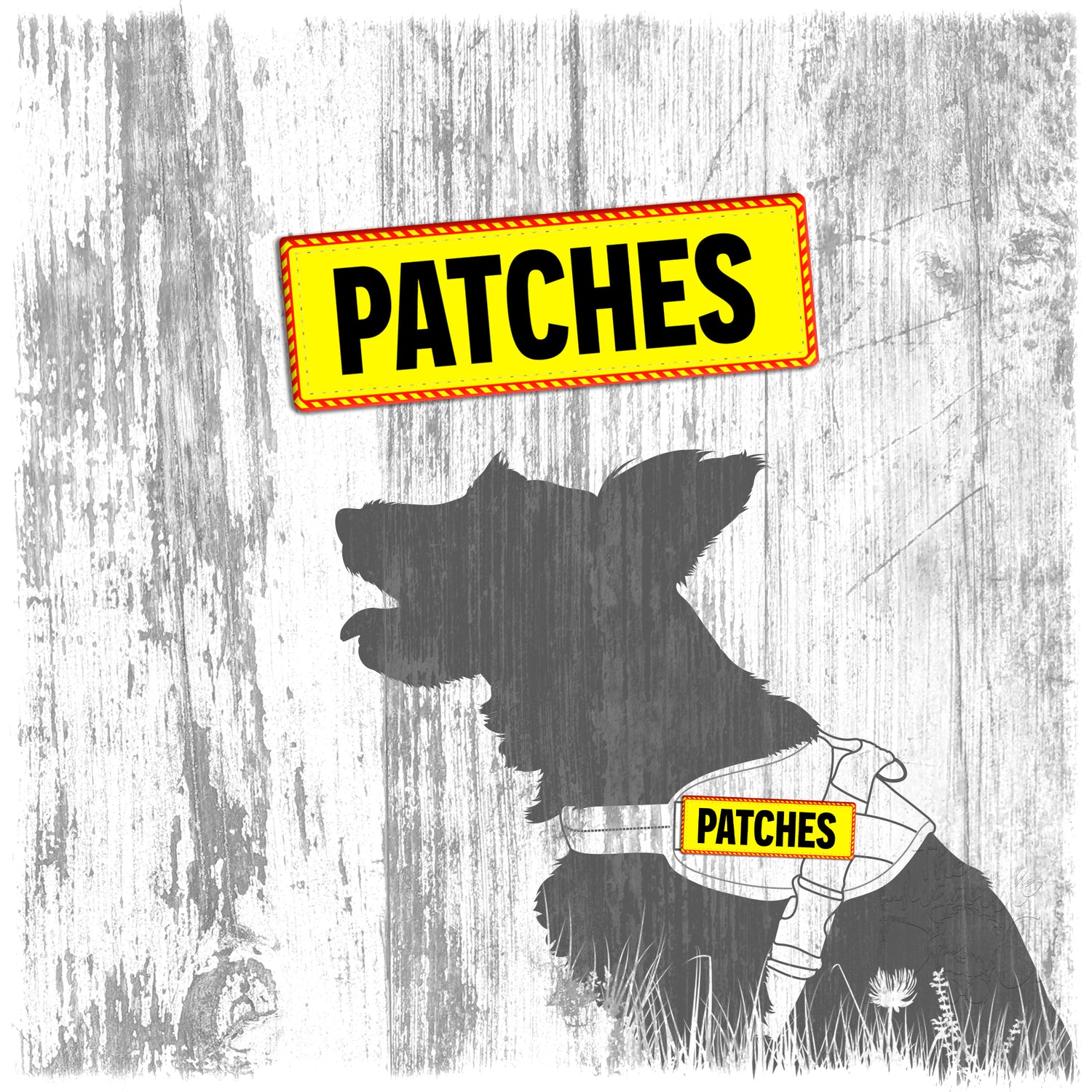 PATCHES