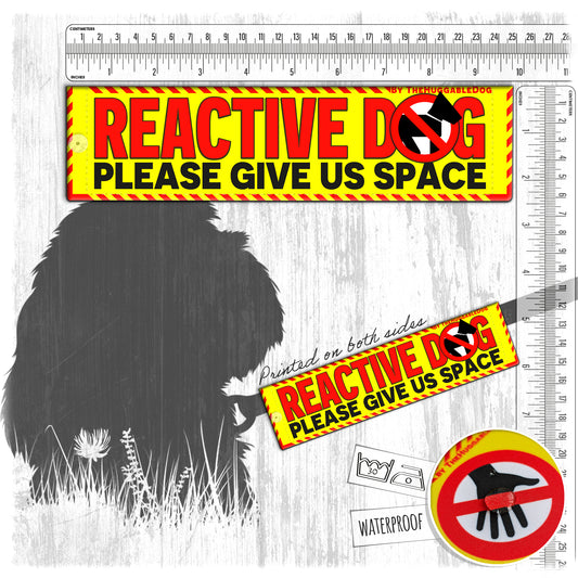 02-"REACTIVE dog, please give us space". Warning leash sleeves.