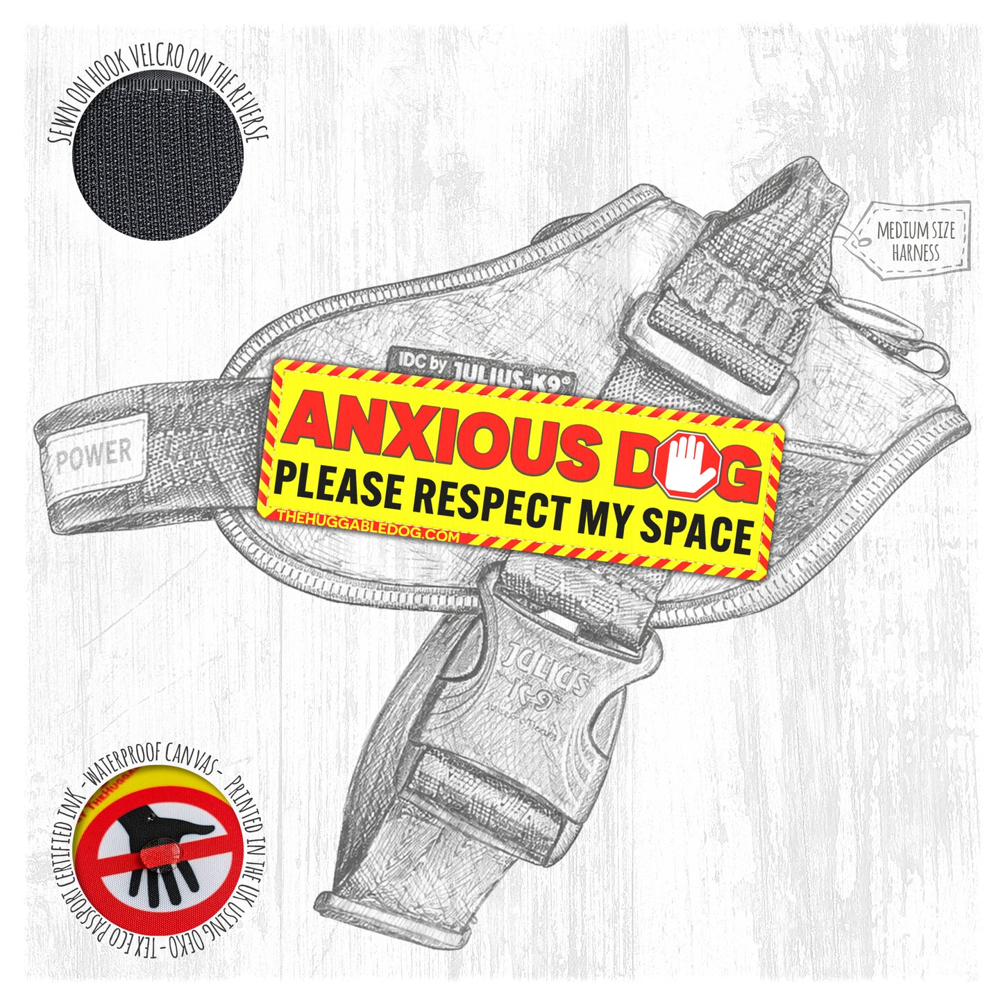 NEW!! ANXIOUS dog. Please respect my space.