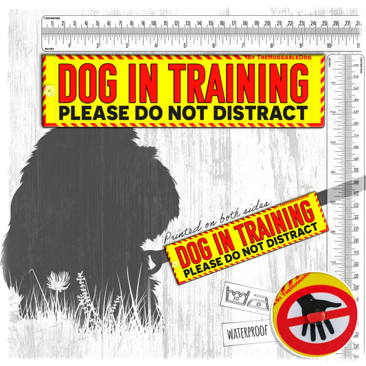 11-"Dog In TRAINING, please do not distract". Warning leash sleeves.