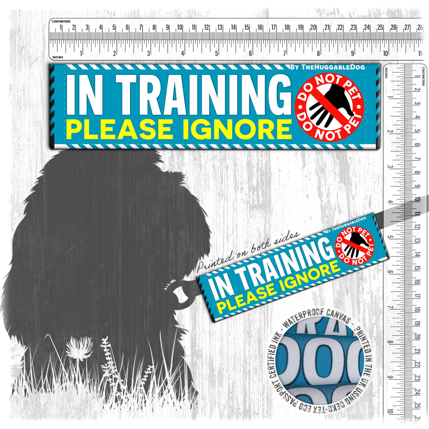 20-"In TRAINING, please ignore".