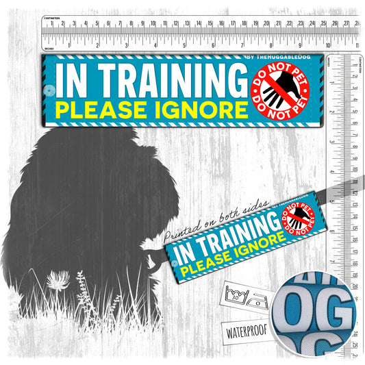 15-"In TRAINING, please ignore". Warning leash sleeves.