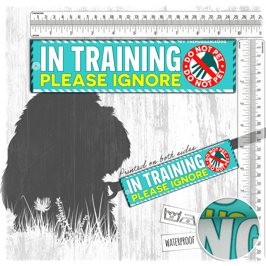 17-"In TRAINING, please ignore". Warning leash sleeves.