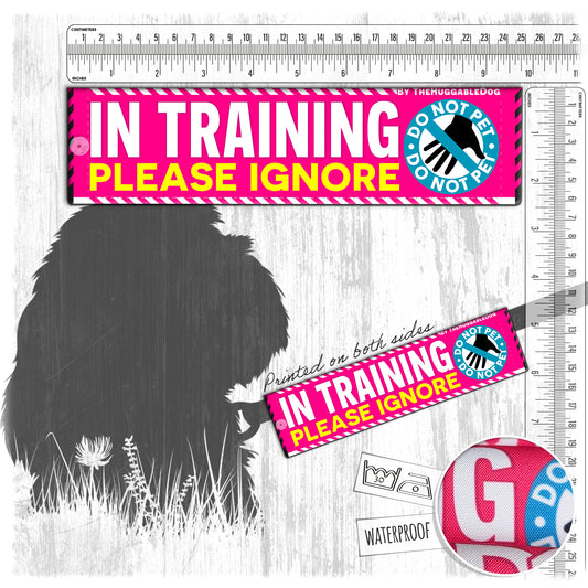 19-"In TRAINING, please ignore". Warning leash sleeves.
