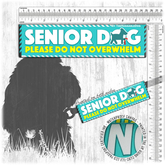 "Senior Dog, please do not overwhelm".