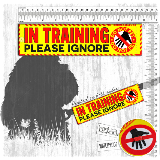 20-"In TRAINING, please ignore". Warning leash sleeves.