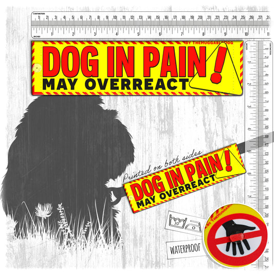 33-"DOG IN PAIN, may overreact". Warning leash sleeves.