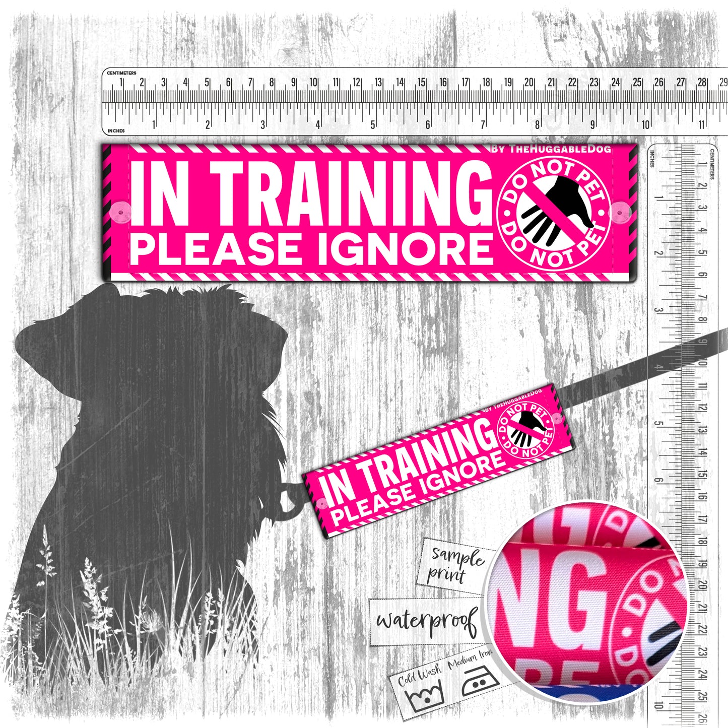 "In Training, please ignore" DO NOT PET. Leash sleeves.