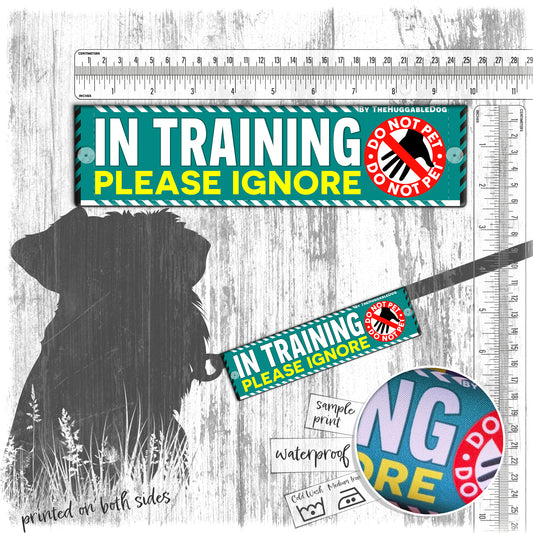 "In Training, please ignore". Do not Pet. Leash sleeves.