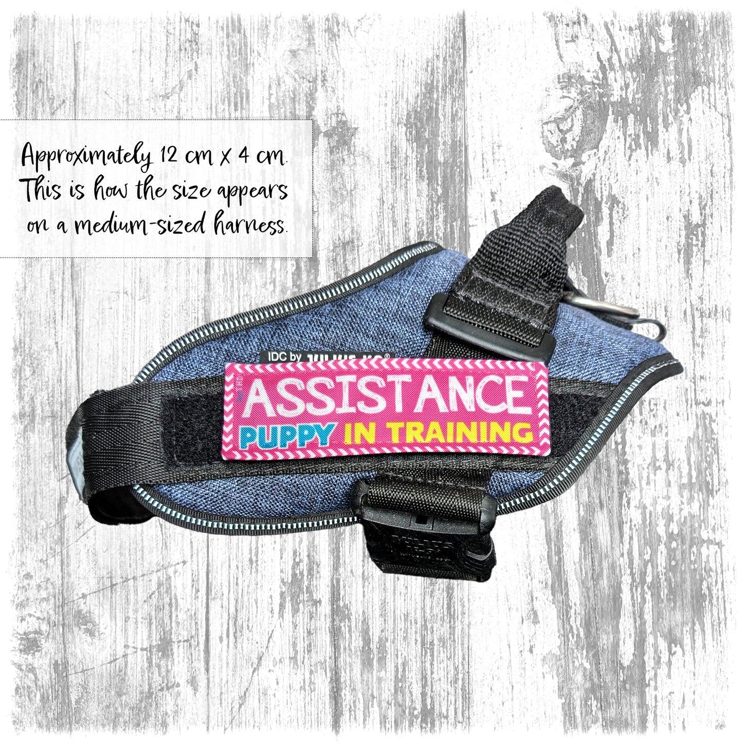 "Assistance, puppy in training". Supplied as a SINGLE item so you can mix and match.