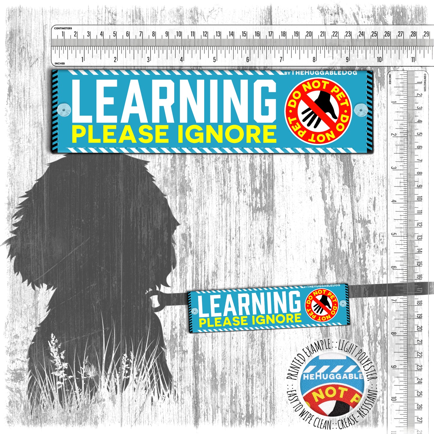 "LEARNING, please ignore", do not pet. Leash sleeve for dog TRAINING.