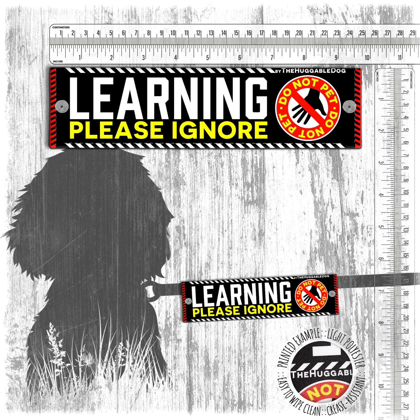 "LEARNING, please ignore", do not pet. Leash sleeve for dog TRAINING.