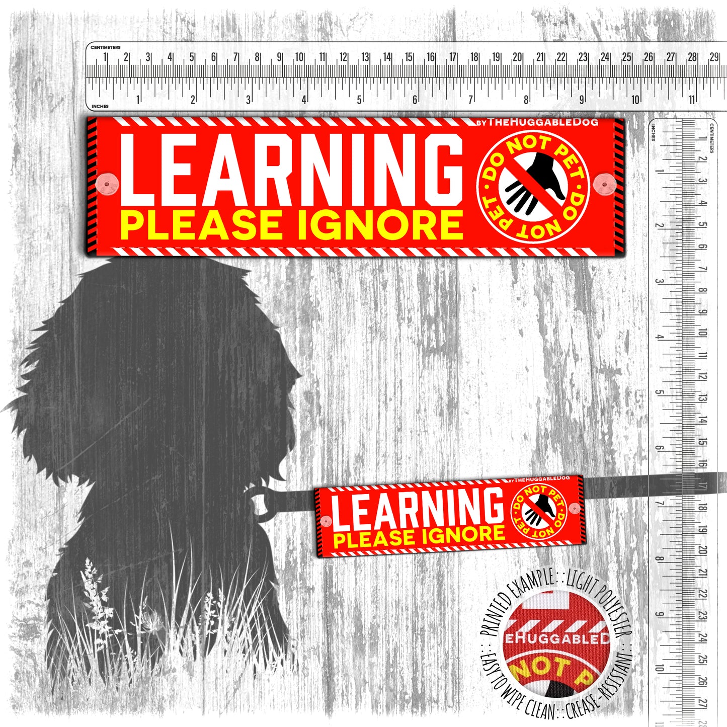 "LEARNING, please ignore", do not pet. Leash sleeve for dog TRAINING.