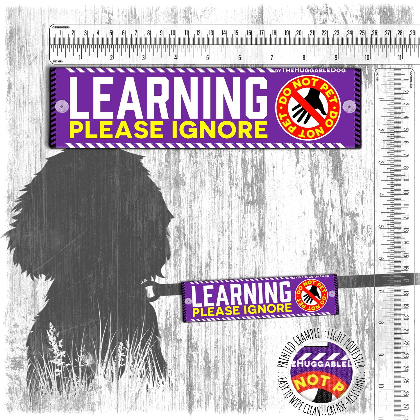 "LEARNING, please ignore", do not pet. Leash sleeve for dog TRAINING.