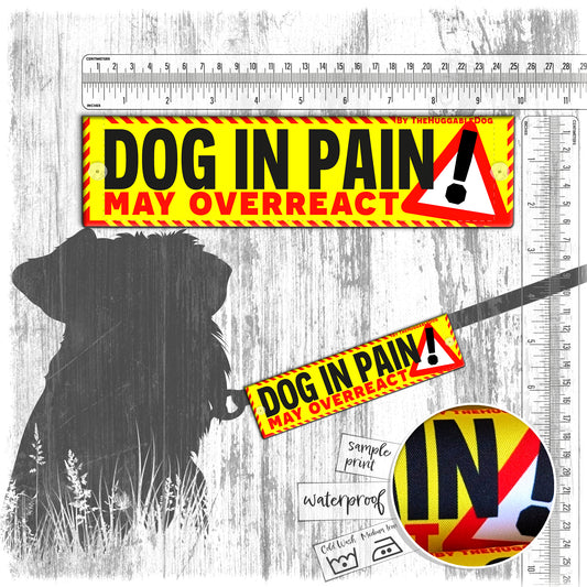 37. "DOG IN PAIN, may overreact". Warning leash sleeves for dog training.