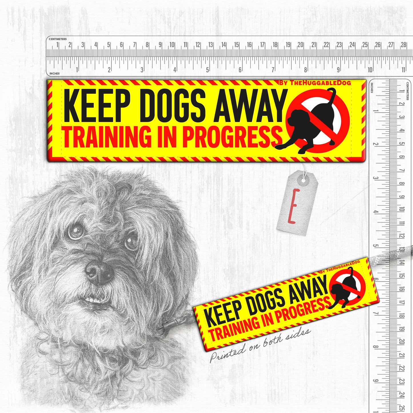 "Keep DOGS AWAY".