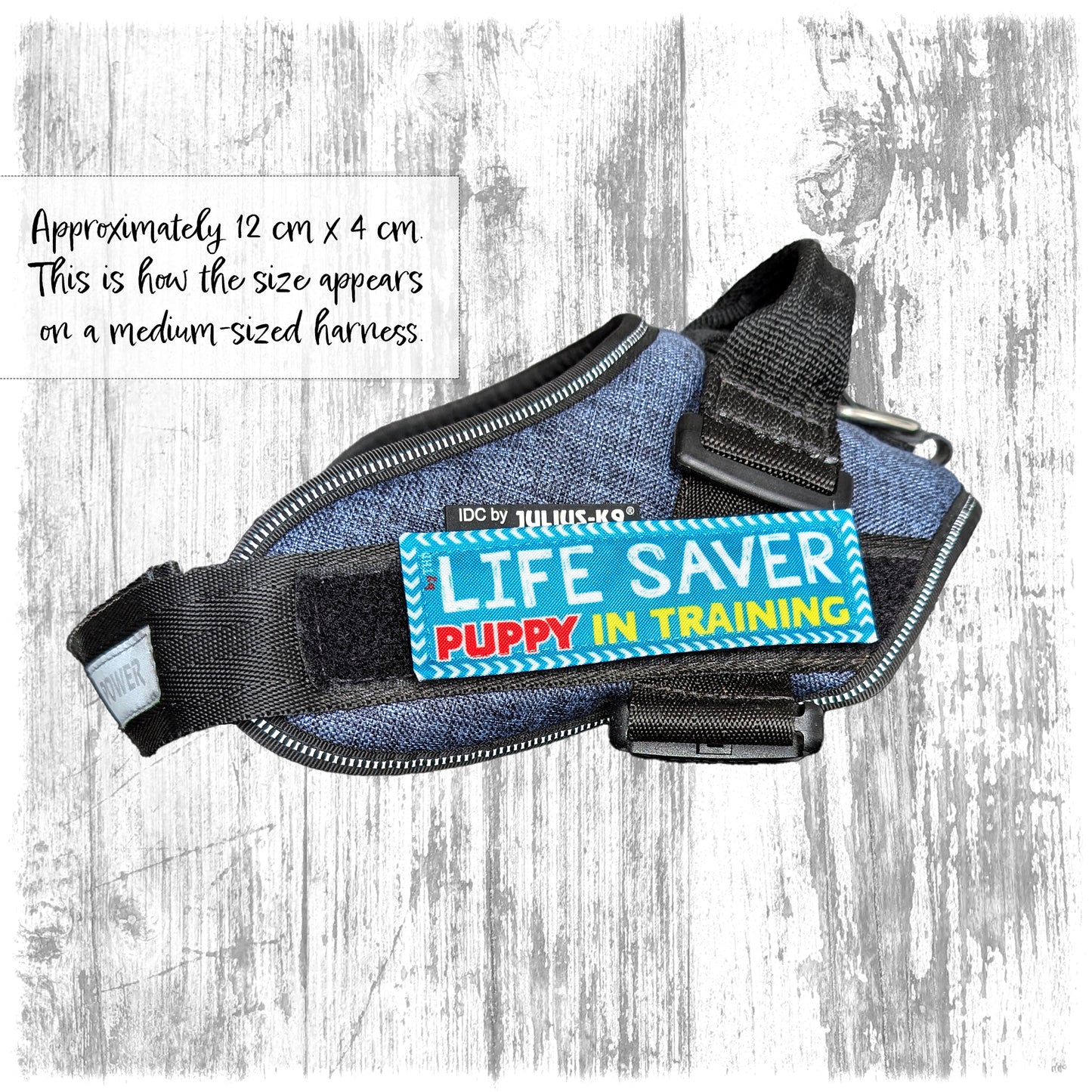 "Life saver, puppy in training". Supplied as a SINGLE item so you can mix and match.