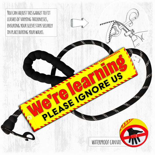 We're Learning, please ignore us