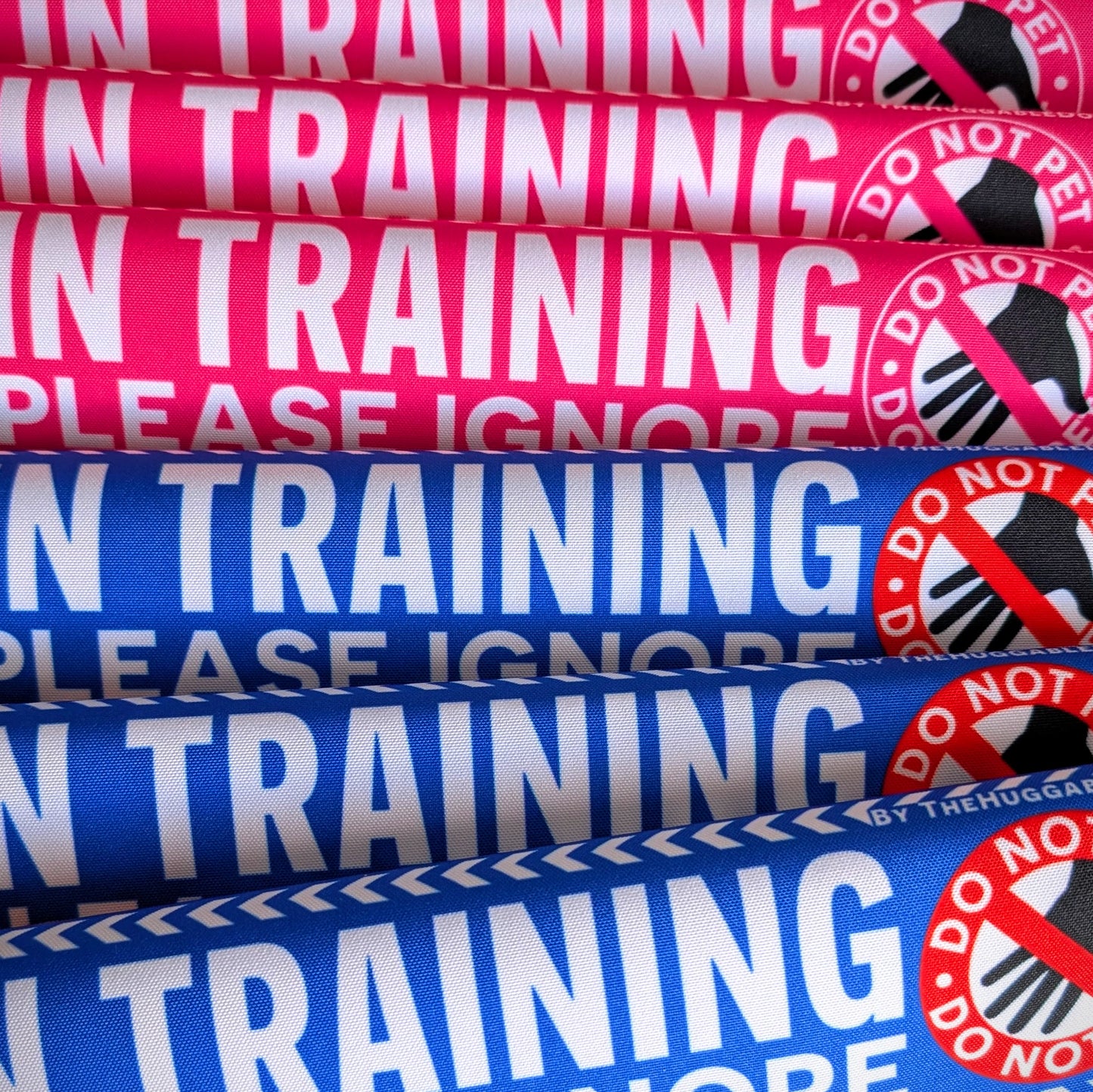 "In Training, please ignore" DO NOT PET. Leash sleeves.