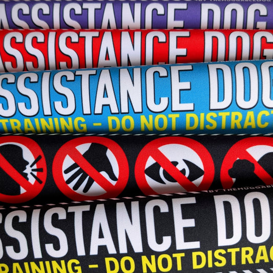 56. "Assistance Dog, IN TRAINING- do not distract". Leash sleeve for dog training.