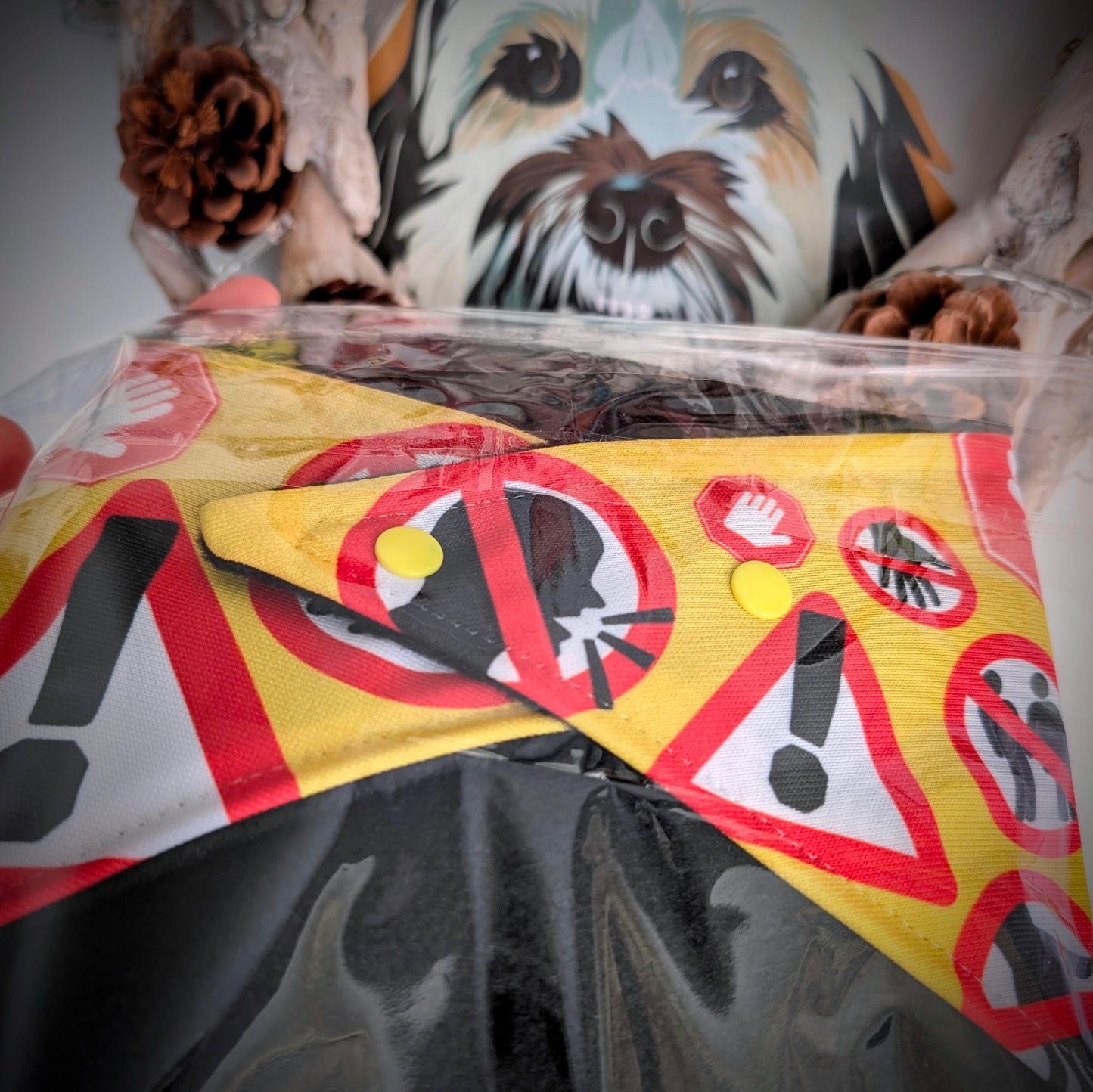 Advisory winter DOG bandanas.