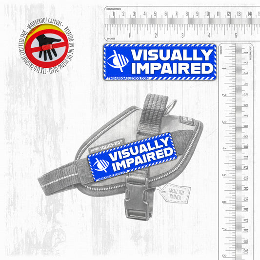 Visually Impaired. Small Patch.