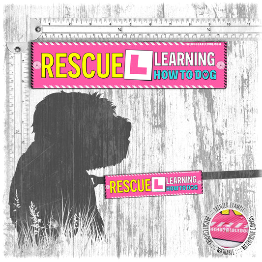 "Rescue LEARNING how to dog". Leash sleeve for dogs.