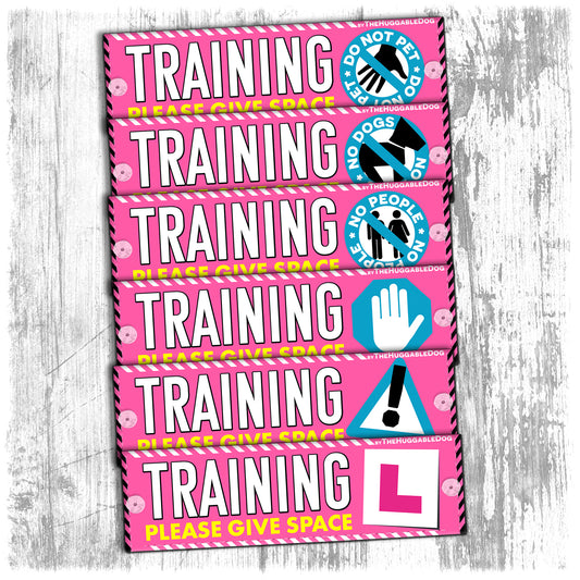 "TRAINING, please give space". Pink mini Leash sleeve for dog training.