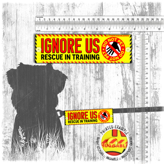 "IGNORE us, rescue in training". Mini warning leash sleeves for dogs.