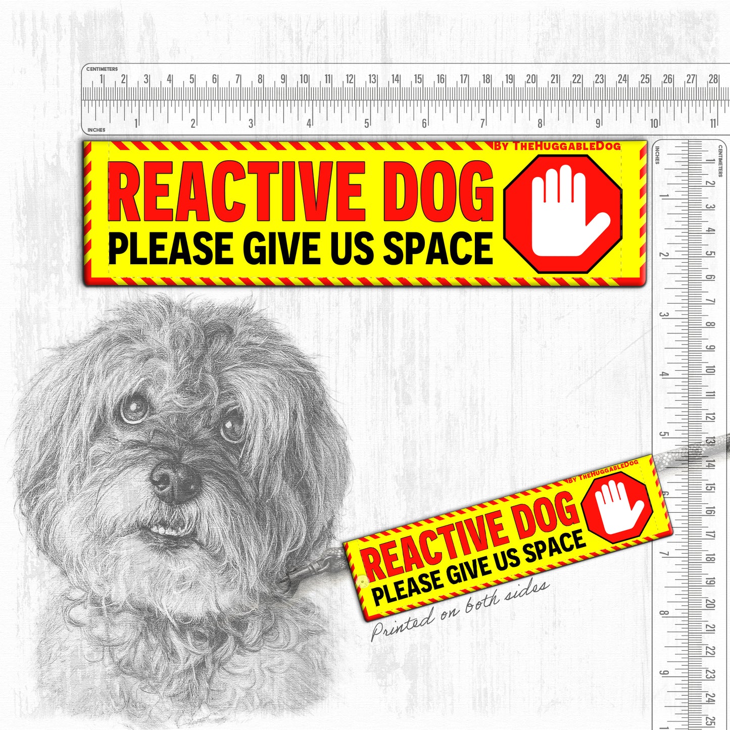 REACTIVE DOG, please give us space.