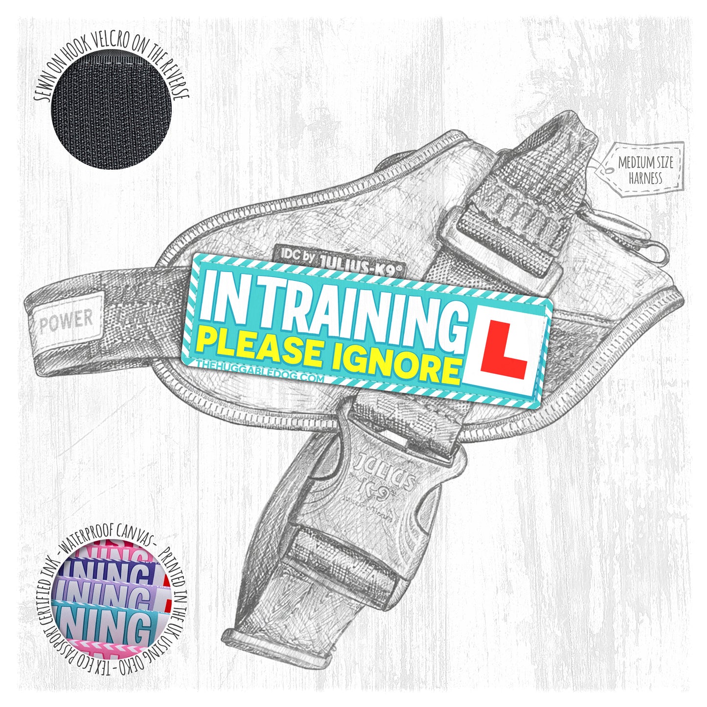 IN TRAINING, please ignore. Size M to L.