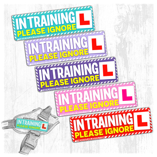 NEW!! IN TRAINING, please ignore.