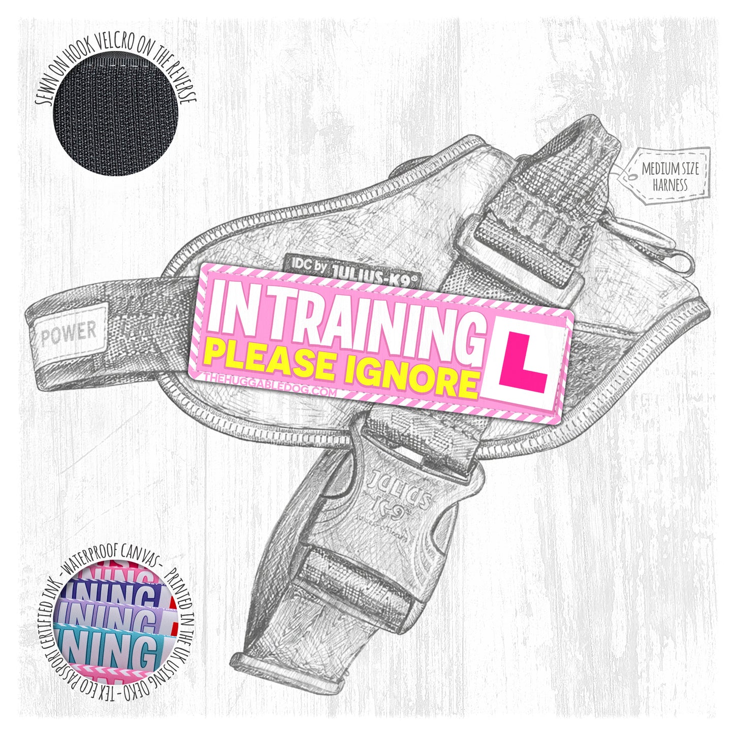 IN TRAINING, please ignore. Size M to L.