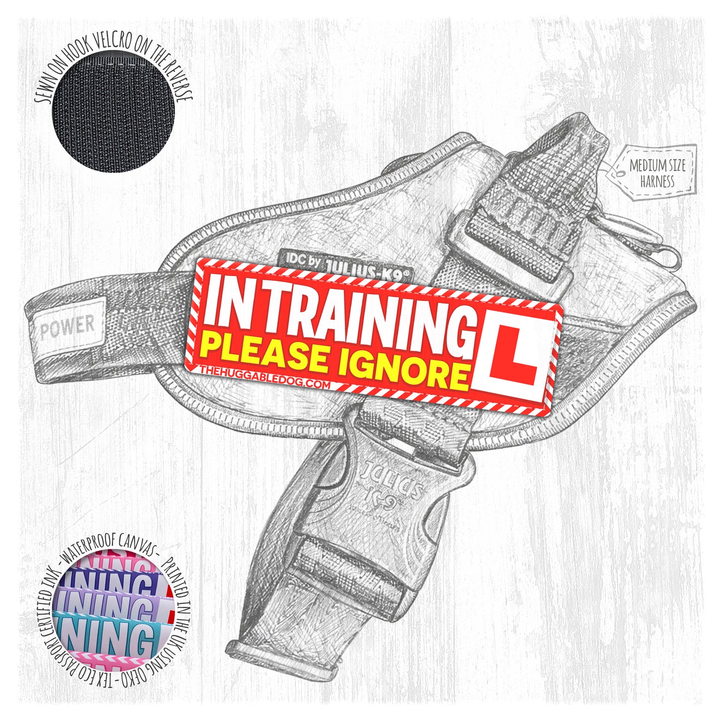 IN TRAINING, please ignore. Size M to L.