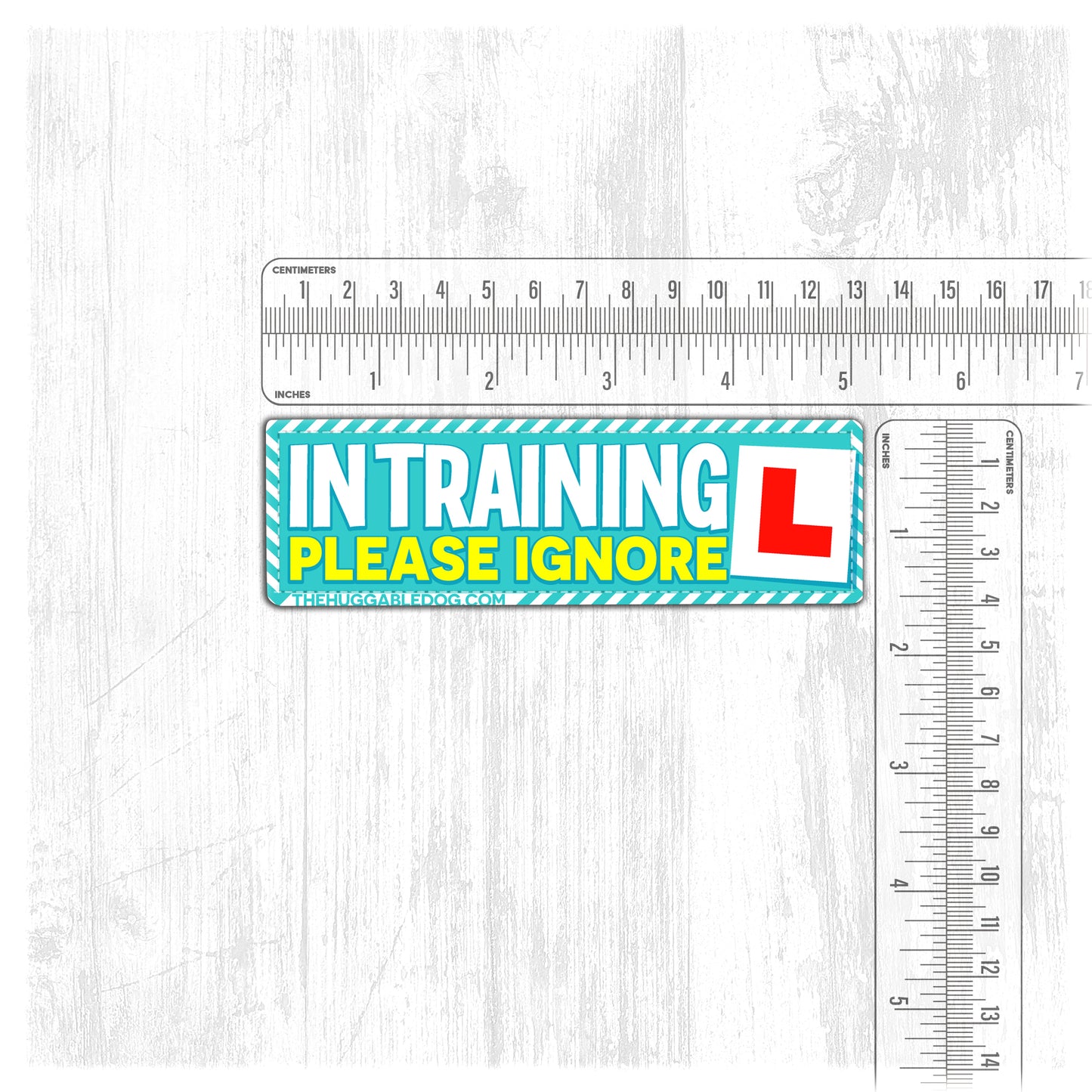 IN TRAINING, please ignore. Size M to L.
