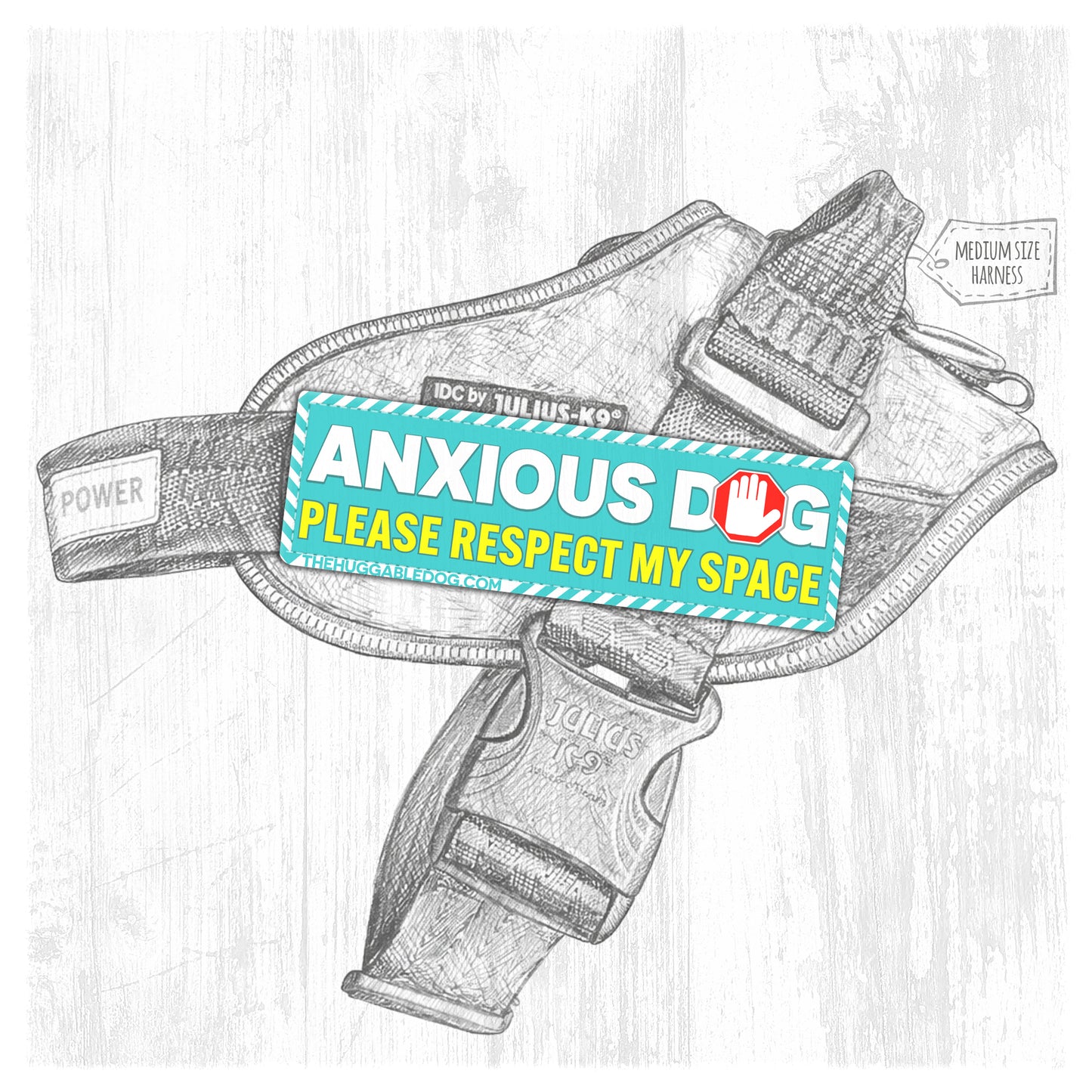 NEW!! ANXIOUS dog. Please respect my space.