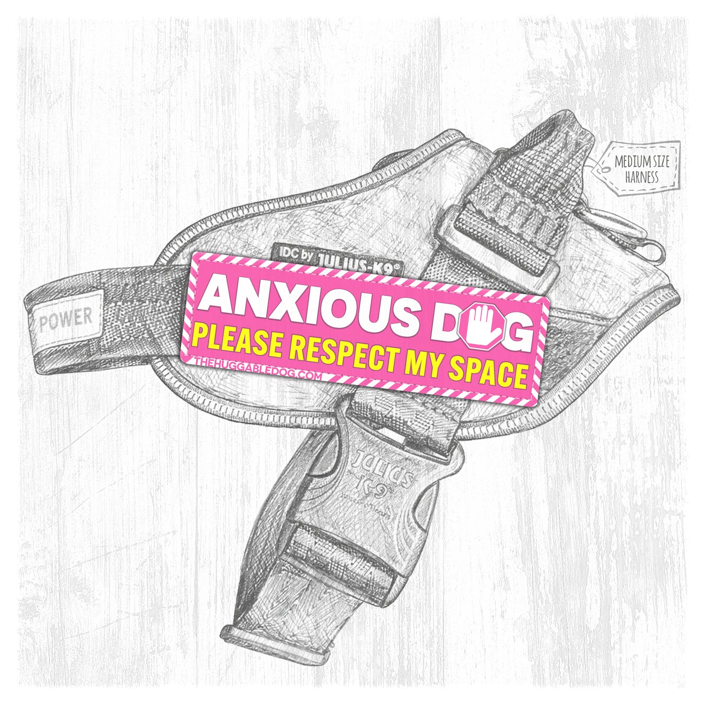 NEW!! ANXIOUS dog. Please respect my space.