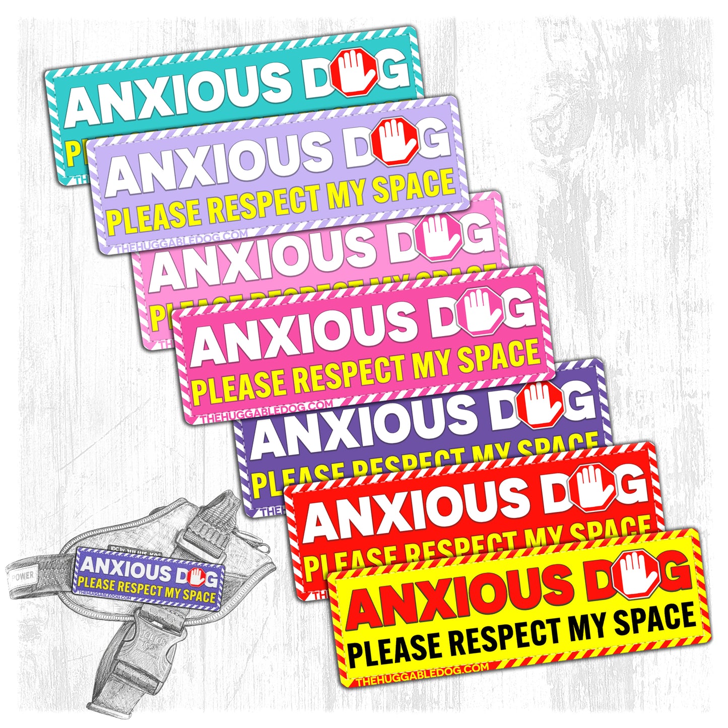 NEW!! ANXIOUS dog. Please respect my space.