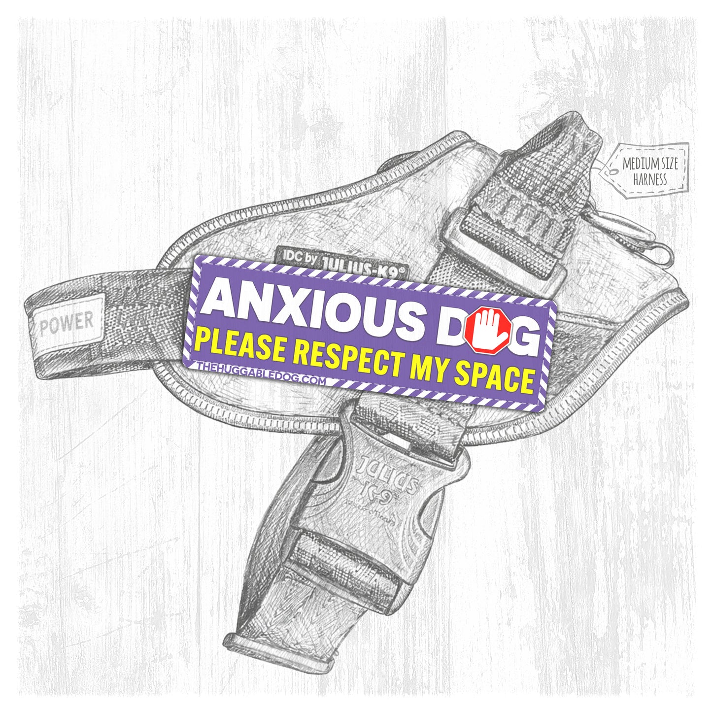 NEW!! ANXIOUS dog. Please respect my space.