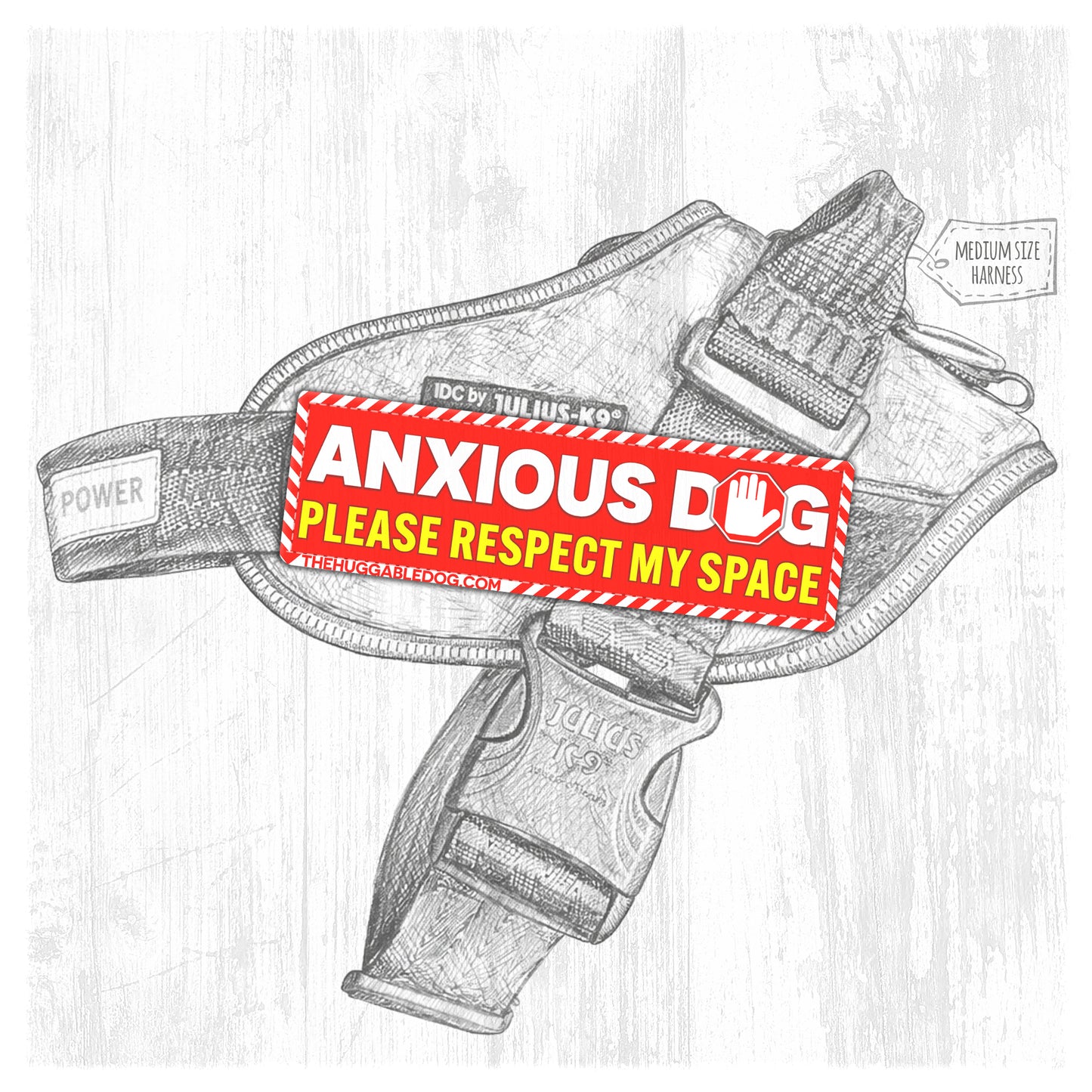 NEW!! ANXIOUS dog. Please respect my space.