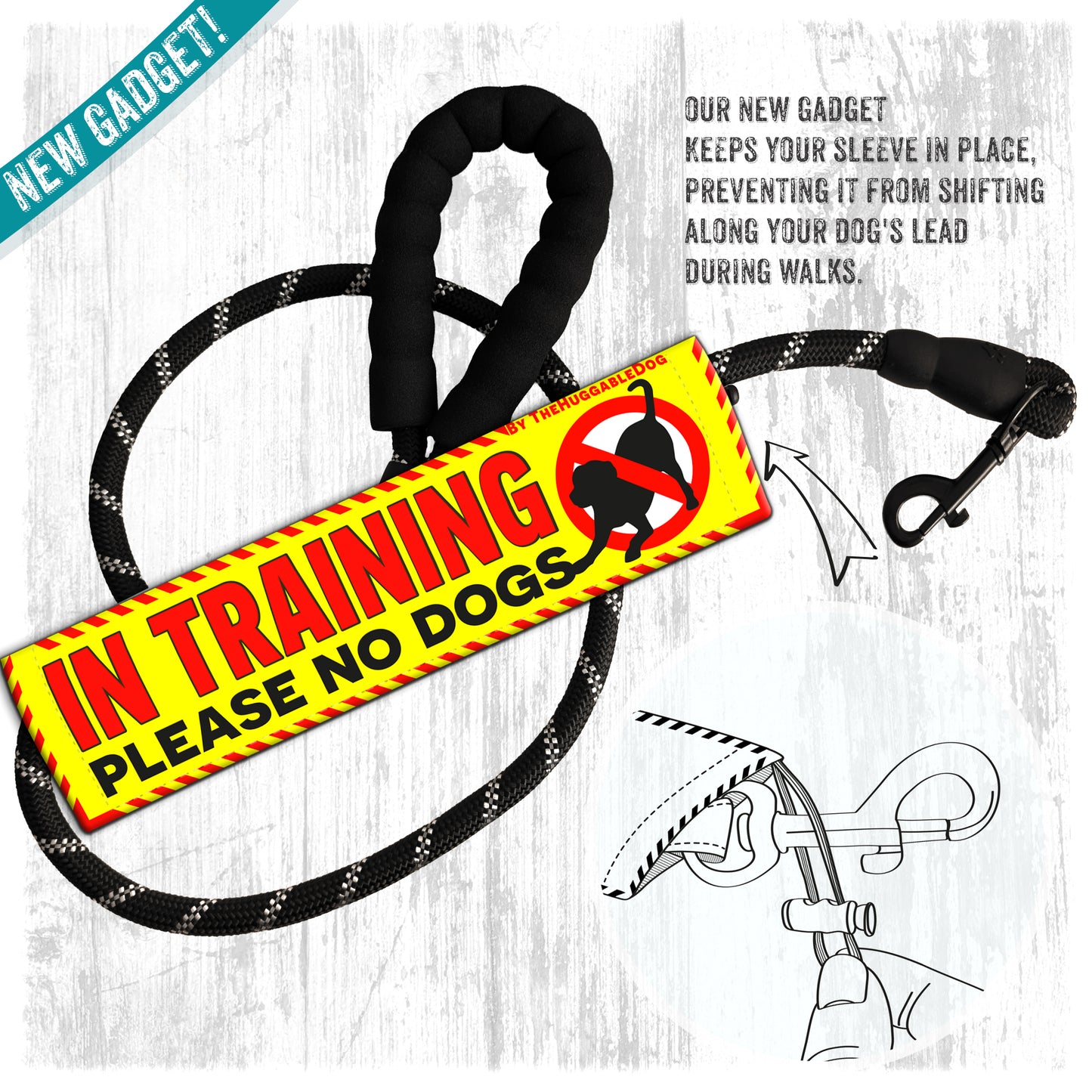 12-"IN TRAINING, please no dogs".