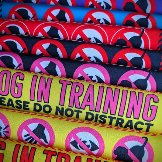 13-"Dog In TRAINING, please do not distract".