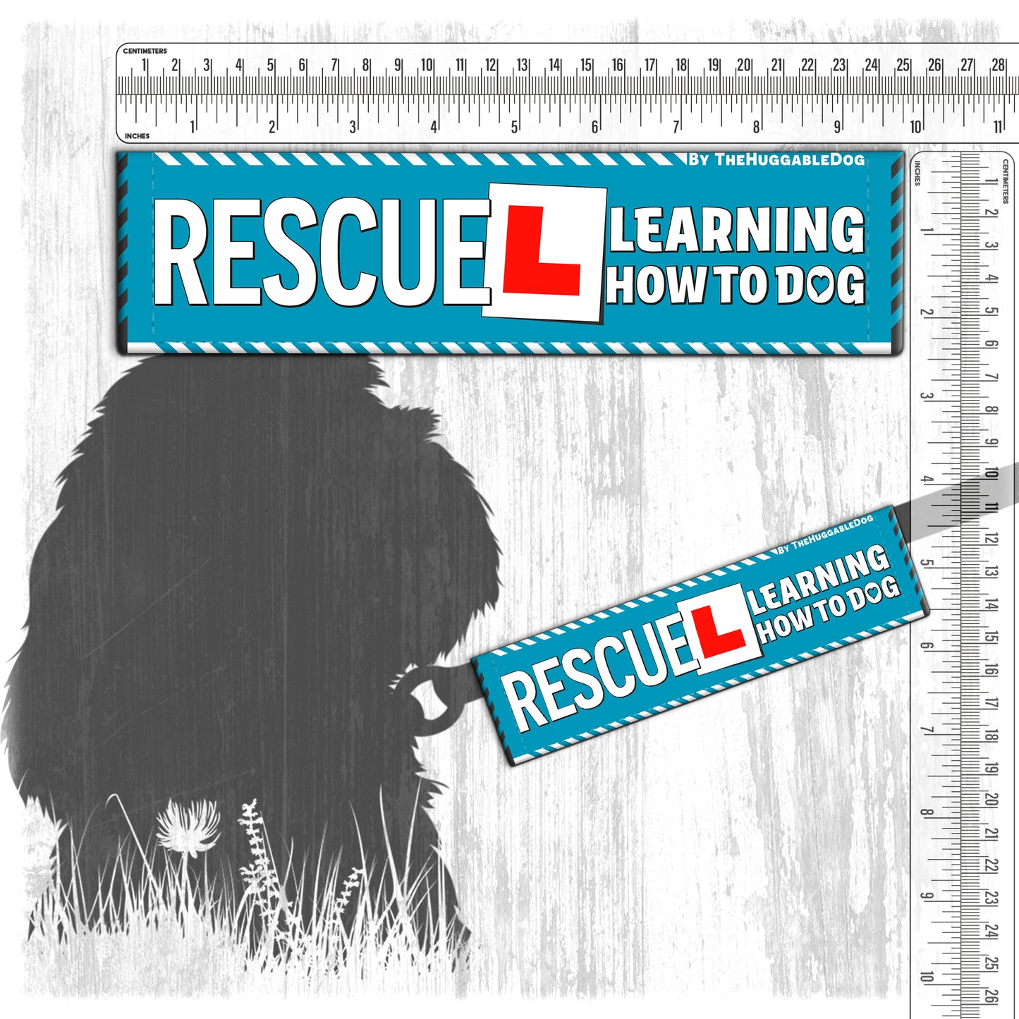 137-"RESCUE, learning to be dog".