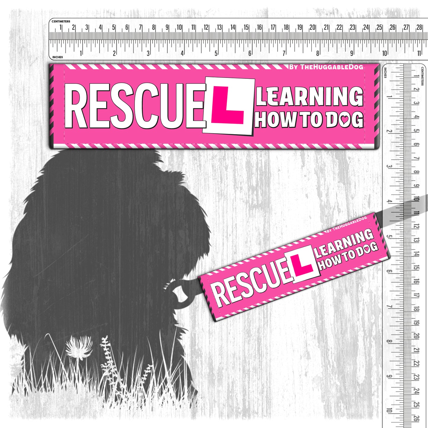 137-"RESCUE, learning to be dog".