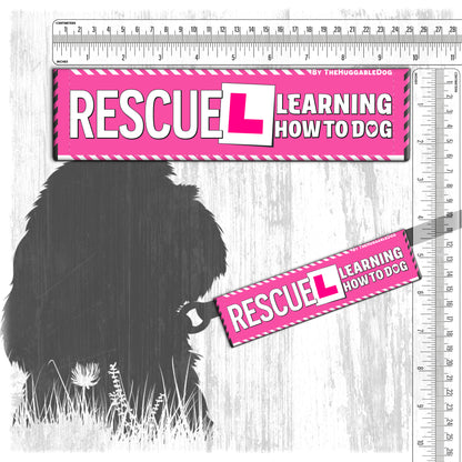 137-"RESCUE, learning to be dog".