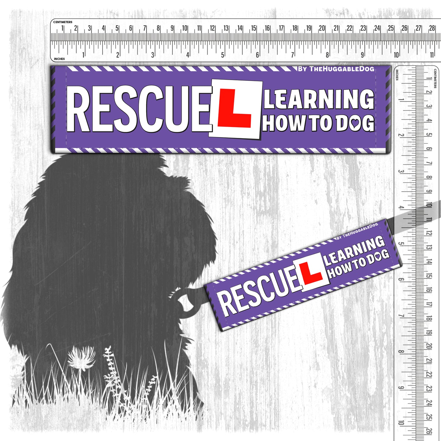 137-"RESCUE, learning to be dog".