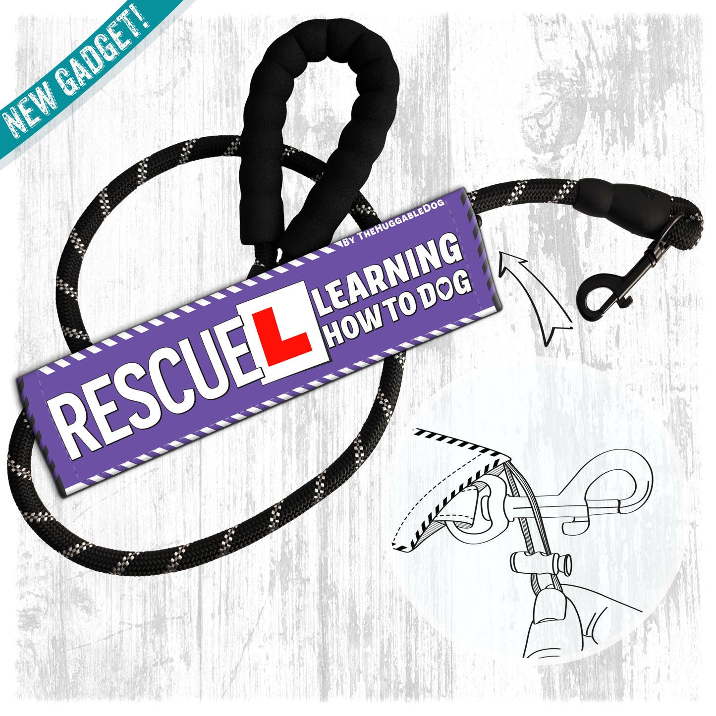 137-"RESCUE, learning to be dog".