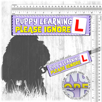 18-"PUPPY learning, please ignore".