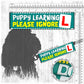 18-"PUPPY learning, please ignore".