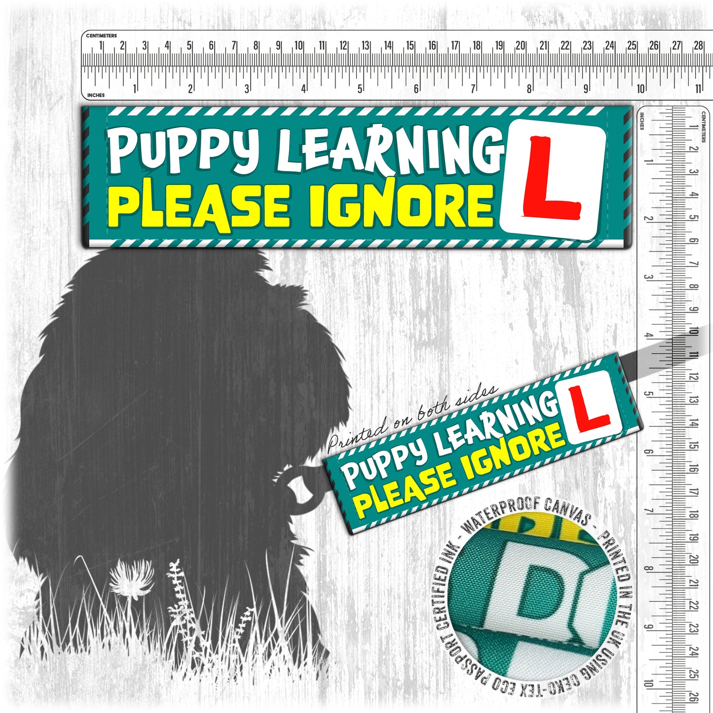 18-"PUPPY learning, please ignore".